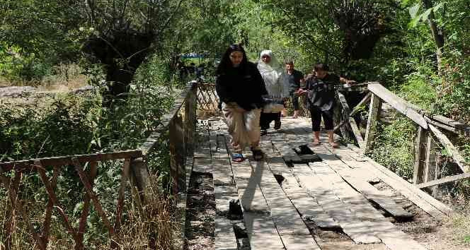 Erzincan’da turistlerin en uğrak yeri Girlevik Şelalesi’nin yolu ve kırık dökük tahta köprüleri tepki topluyor