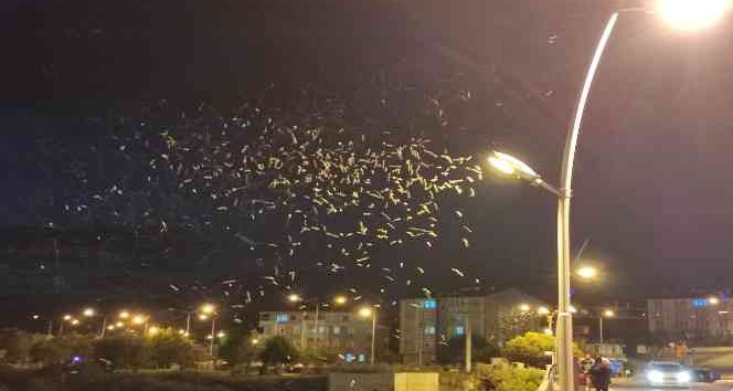 ’’Birgün’’lük ölüm dansı