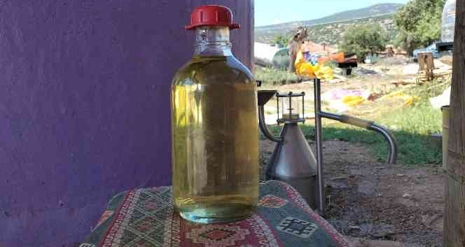 Türkiye’nin lavanta merkezinde üretilen lavanta yağı birçok ülkeye ihraç ediliyor
