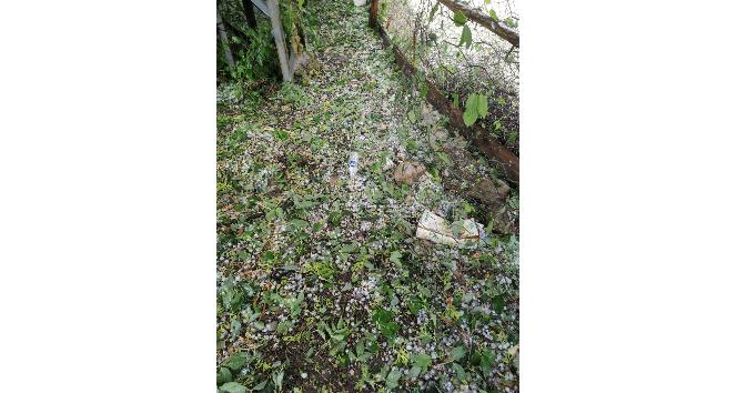 Kastamonu’da dolu yağışı zarara neden oldu