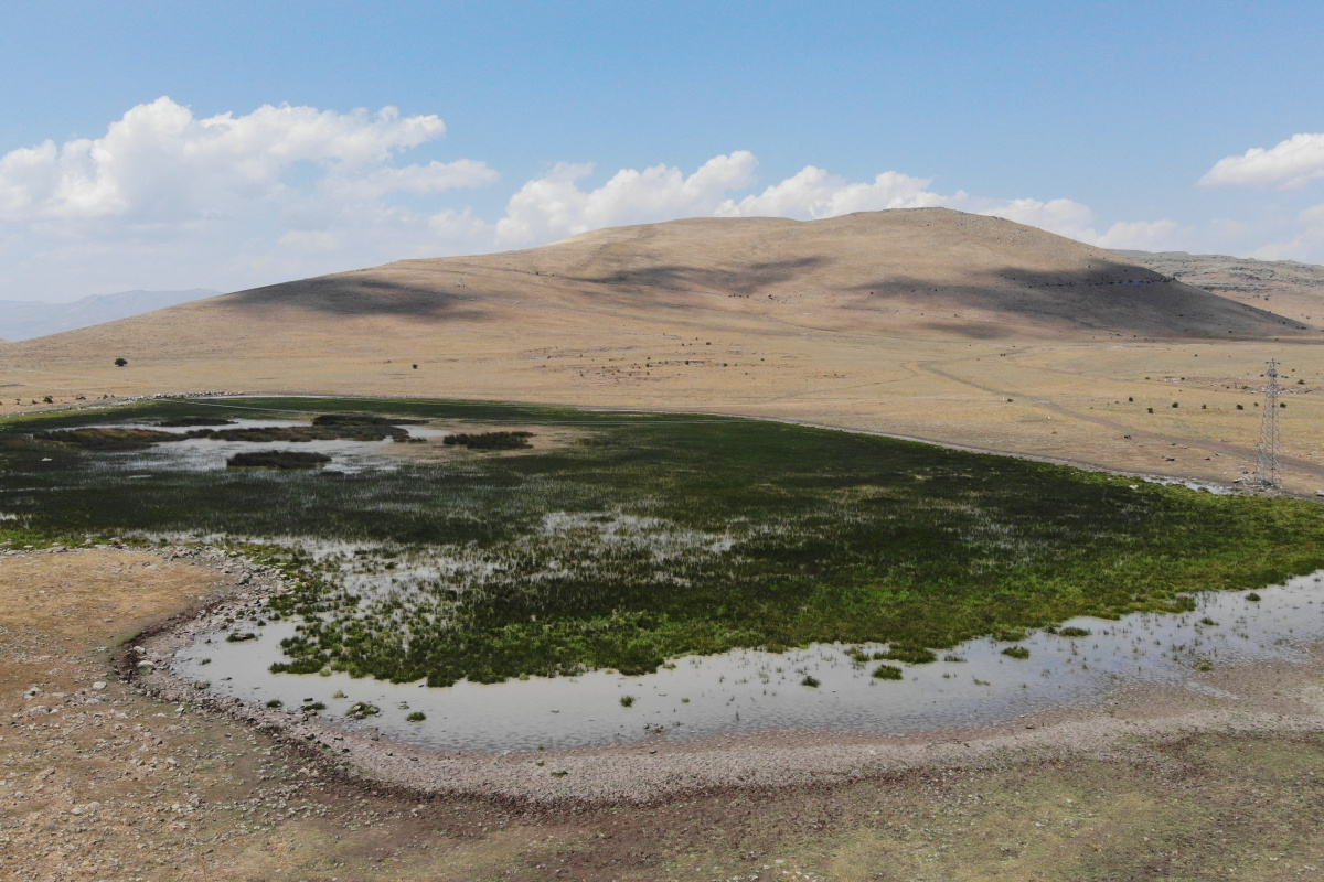 20 farklı göçmen kuş türüne ev sahipliği yapan Nenehatun gölü kurudu