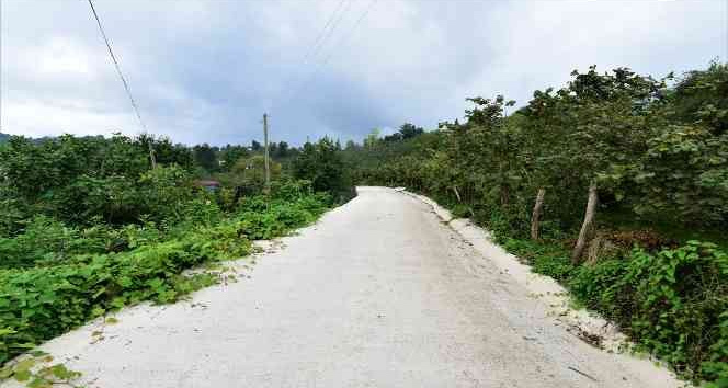 Altınordu’da beton yol çalışmaları devam ediyor