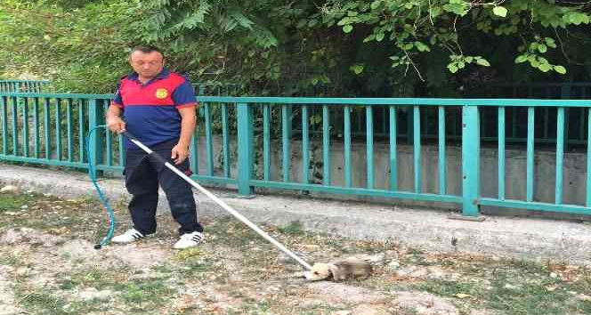 Su kanalına düşen yavru köpeği itfaiye kurtardı