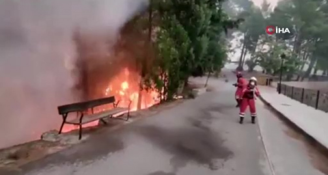 İspanyadaki orman yangını bölgesinden geçen trende facia: 20 yaralı