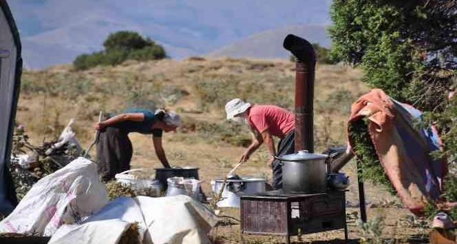 Huzur kenti Tunceli’de yaylacılar güven içerisinde dağlara çıkıp hayvancılık yapıyor