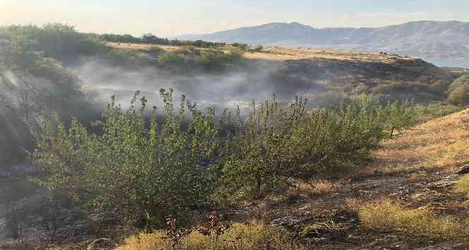 Malatya’da anız yangınında kayısı ağaçları zarar gördü