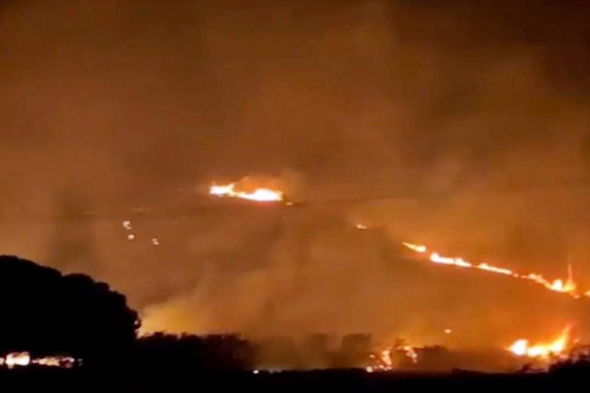 Söke&#039;deki orman yangını kontrol altına alındı
