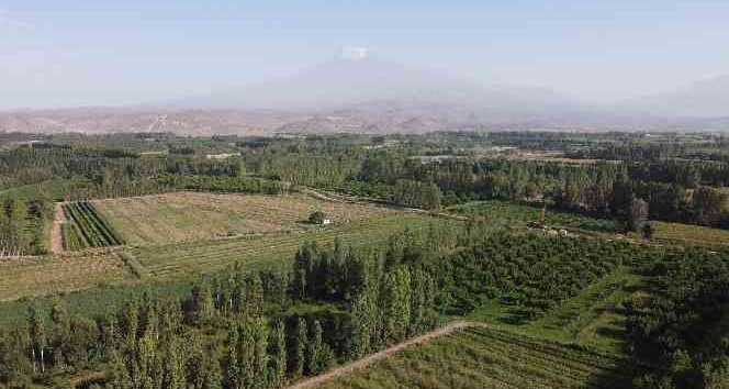 İrem Bağlarında yeşilliğin son demleri yaşanıyor