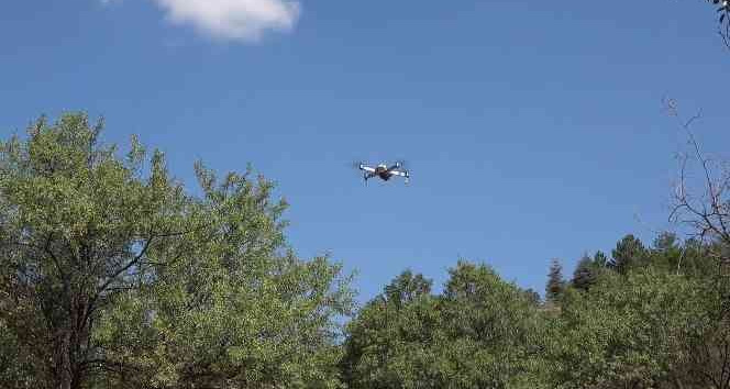 Jandarmadan orman yangınlara karşı dronlu denetim