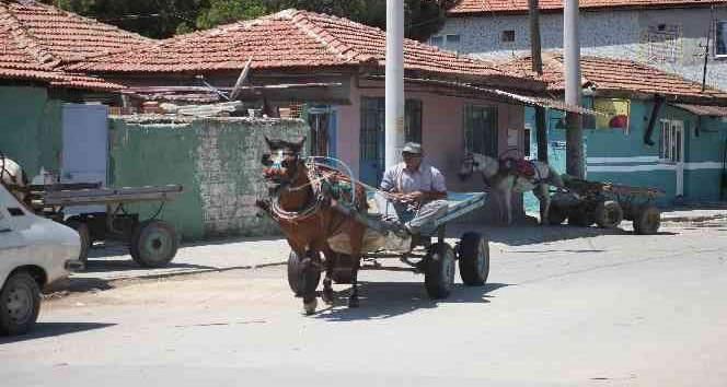 Acarlar’da at arabacılarının zorlu yaşam mücadelesi sürüyor