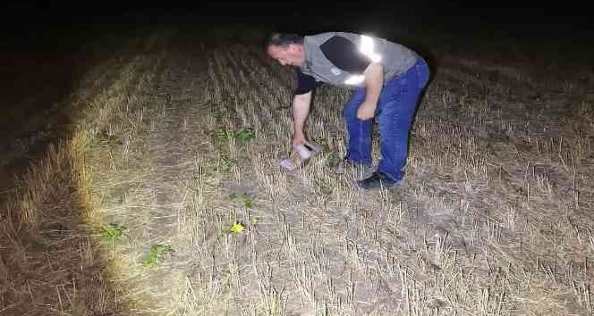 Tokat DKKMP yeni sezon denetimi