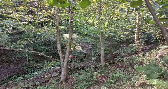 Ordu’da iş makinesi şarampole devrildi: 1 ölü