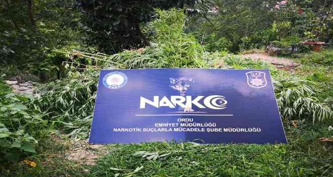 Ordu’da uyuşturucuya geçit yok