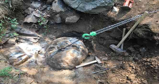 Ordu’da defineciler fındık bahçesinde yakalandı