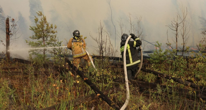 Rusyada devam eden orman yangınında 12 bin hektarlık alan kül oldu