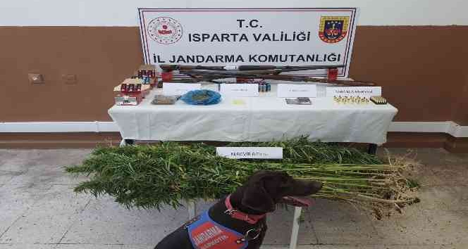 Yasa dışı kenevir ekimi yapan 2 kişi yakalandı