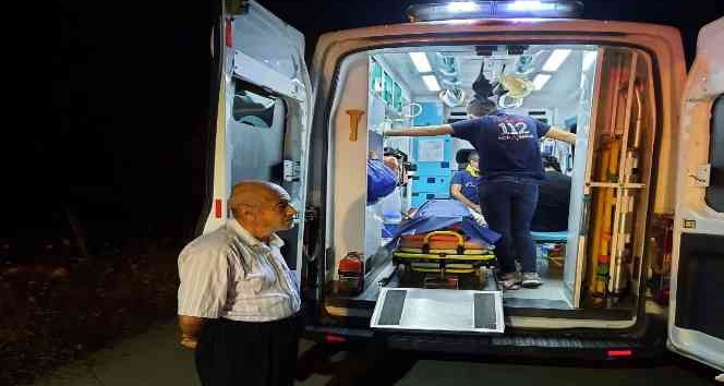 Kontrolden çıkan otomobil zeytin bahçesine uçtu: 2 yaralı