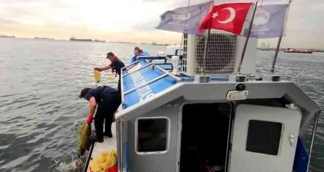 Kaçak avlanan 2,5 ton kara kıllı midye ve 500 kilo deniz salyangozu  ele geçirildi