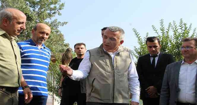 Şırnak’ta 5 yılda 249 tür yaban hayvanı tedavi edildi