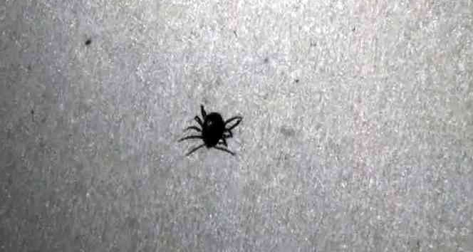 Yozgat’ta keneden ölenlerin sayısı 4’e yükseldi