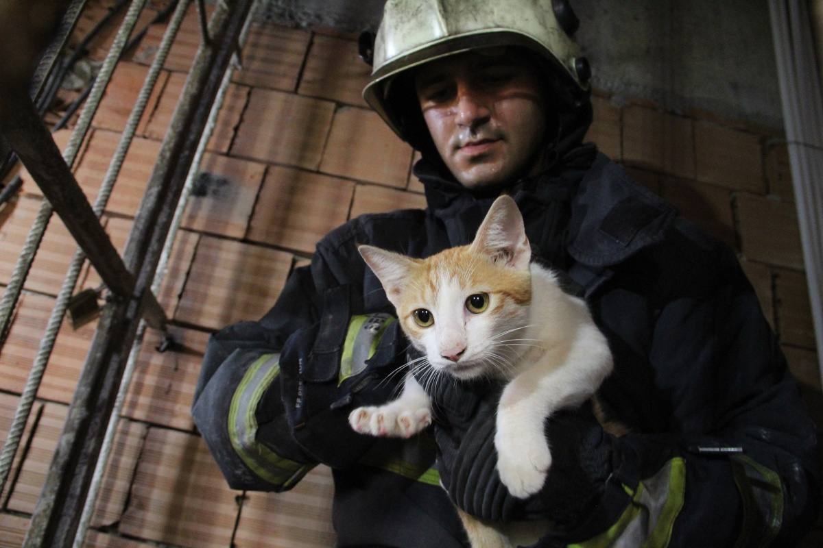 Önce kurtarıldı, sonra kapı kapı sahibi arandı