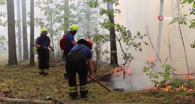 Rusyanın Ryazan bölgesindeki orman yangını 19 bin 280 hektarlık alana yayıldı