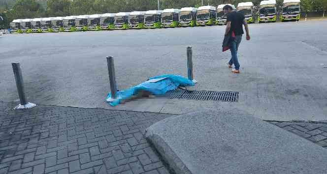 Böyle vicdansızlık görülmedi