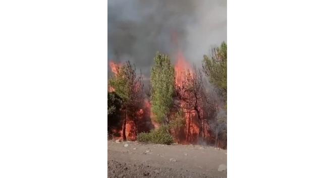 Kahramanmaraş’ta ikinci orman yangını