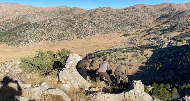 Yasadışı avda kullanılan gümeleri dronla bulup imha ettiler
