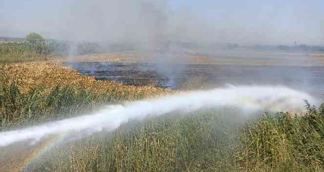 Osmaniye’de çıkan anız yangını söndürüldü