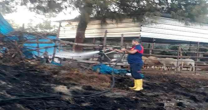 Otluk alanda çıkan yangın ağıla ulaşmadan söndürüldü