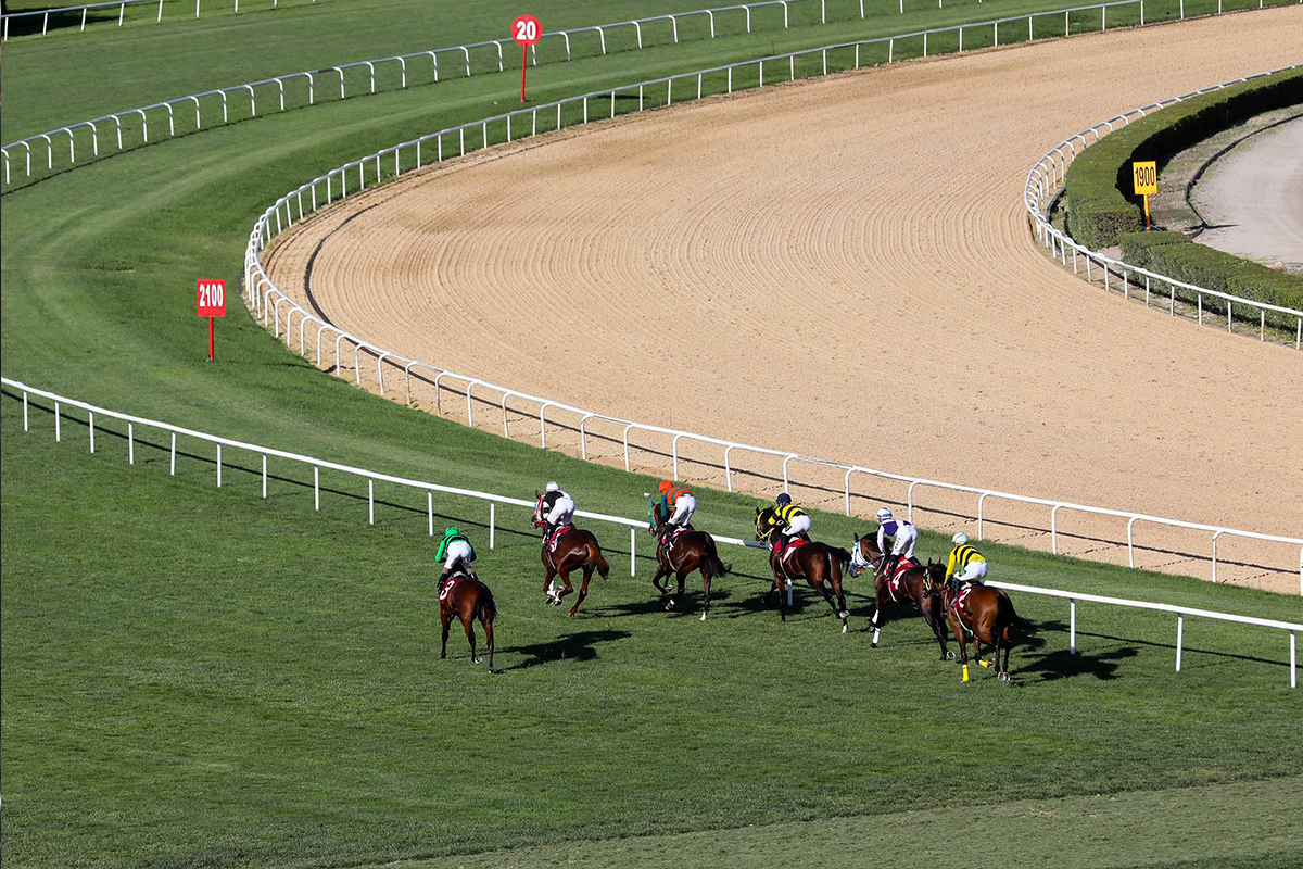 Başkanlık Koşusu’nda zafer Baronial’in