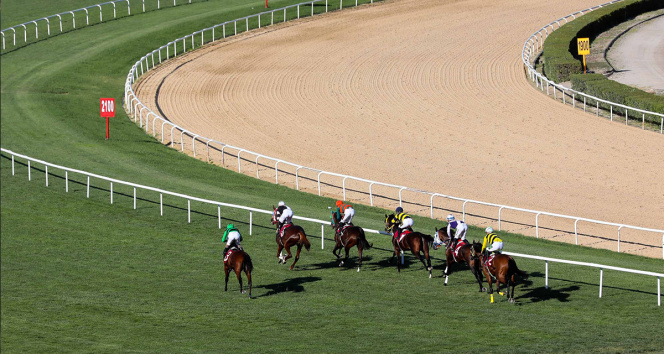 Başkanlık Koşusu’nda zafer Baronial’in