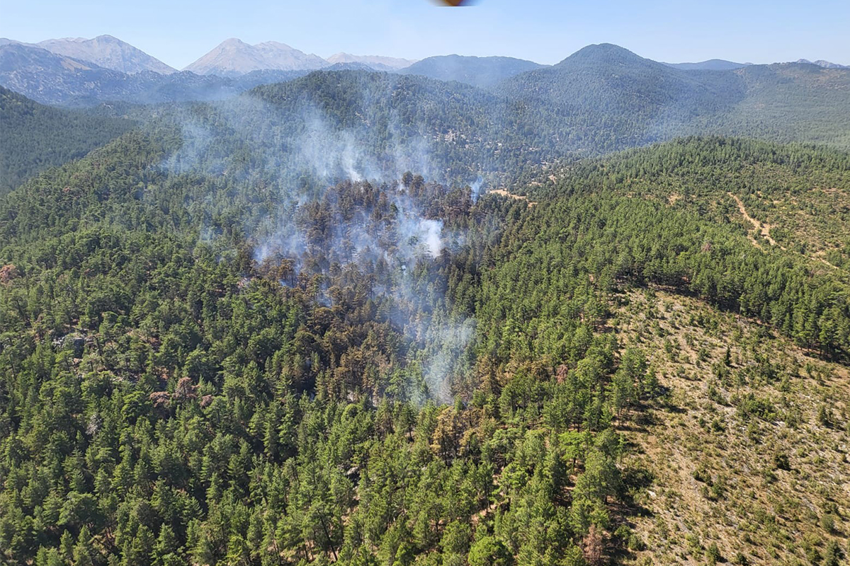 Antalya&#039;da orman yangını kontrol altına alındı