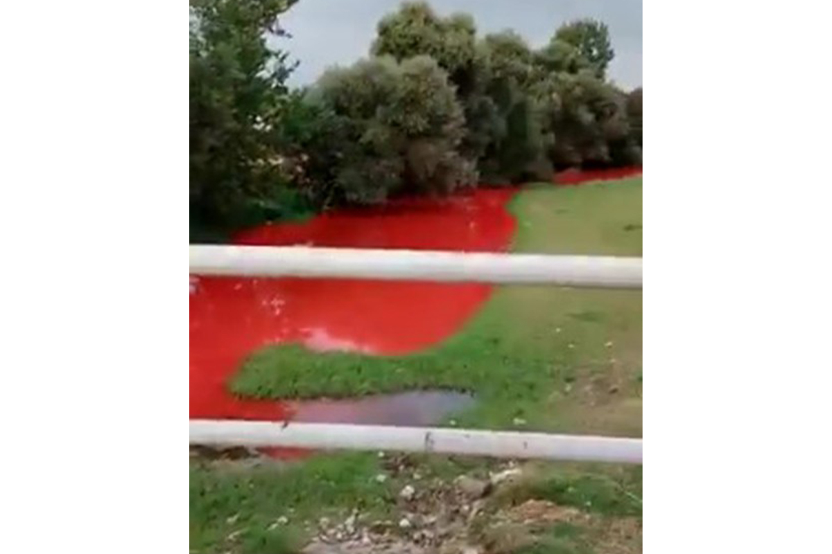 Tarım ilacı karışan derenin rengi kırmızıya döndü
