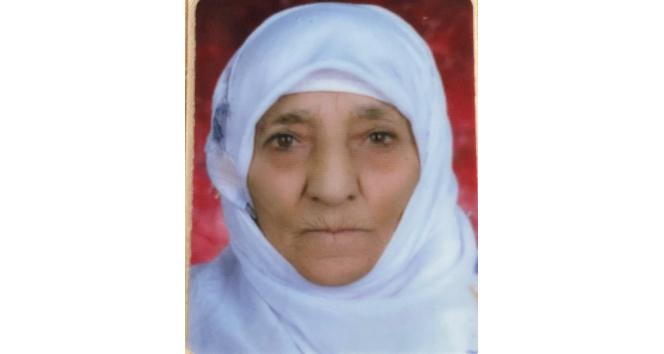 Aslan ailesinin acı günü