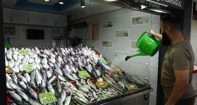 Çanakkale’de balıkçılar yeni sezondan umutlu