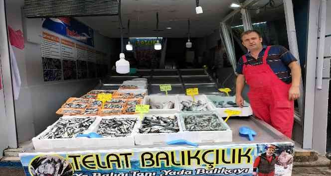 Balıkçı tezgahları şenlendi