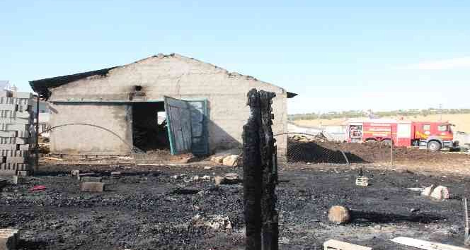 Karaman’da ahır yangınında 5 büyükbaş hayvan telef oldu