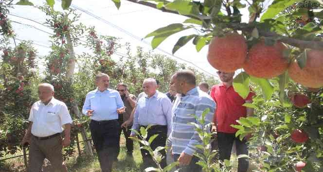 Türkiye’nin elma deposu Karaman’da hasat başladı