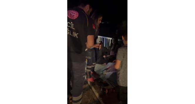 Batman’da yola çıkan domuz sürüsü kazaya neden oldu: 4 yaralı