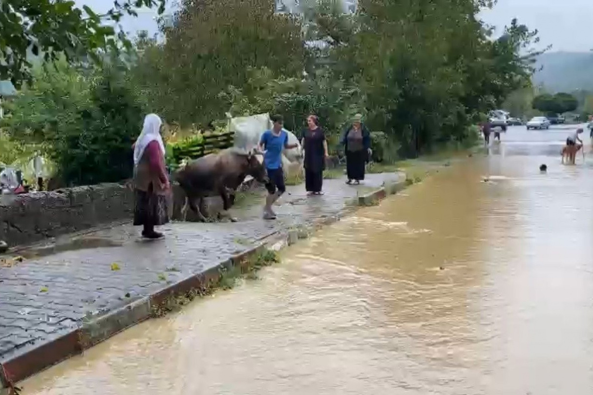 Bartın'da yağış sonrası sel meydana geldi