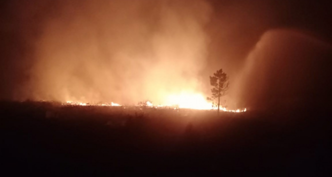 Kazakistandaki orman yangınında 10 kişi yaralandı