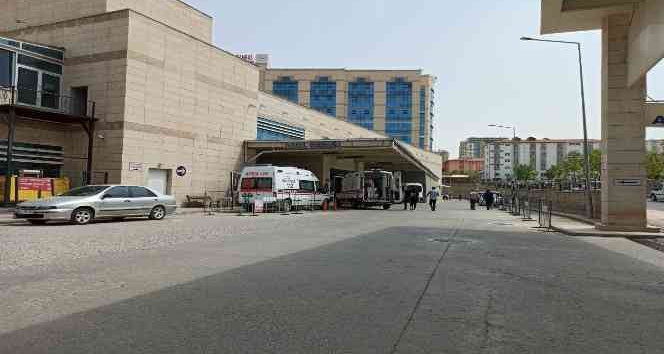 Siirt’te yılanın soktuğu çocuk hastaneye kaldırıldı