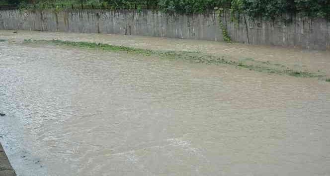 Ordu’da sağanak yağış etkili oldu