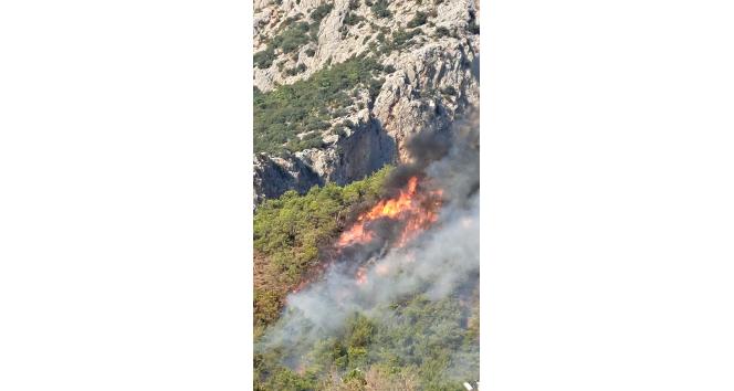 Adrasan’daki orman yangını kontrol altına alındı