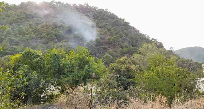 Tokat’ta ormanlık alanda yangın