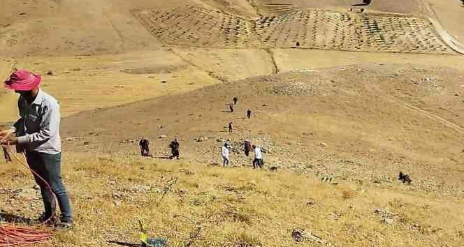 Siirt’te bir işçiyi akrep soktu
