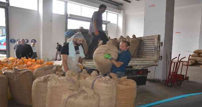 Ordu’da TMO’ya talep artıyor