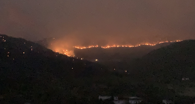 Mersindeki orman yangını 13 saattir sürüyor: Alevler geceyi aydınlattı